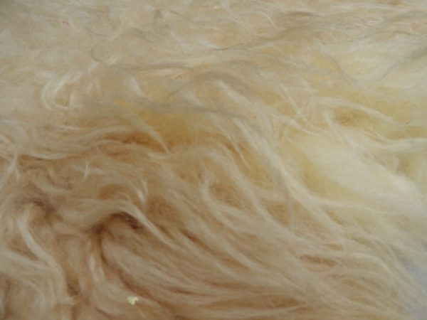 Schapenwol Hanekamp Naturel 2ply - Afbeelding 2